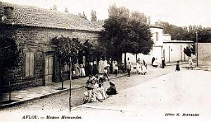 Aflou - Maison Hernandezjpg